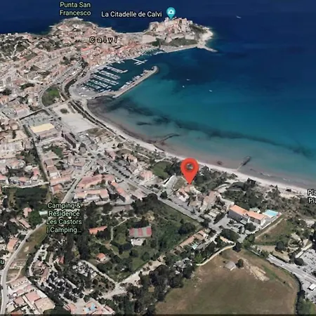 Studio Les Pieds Dans L'Eau Calvi Calvi (Corsica)